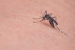 Comisión EEUU investiga zika en Colombia