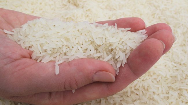 Dicen no será necesario importar arroz
