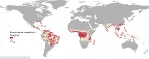 Zika virus amenaza 2 mil millones de personas