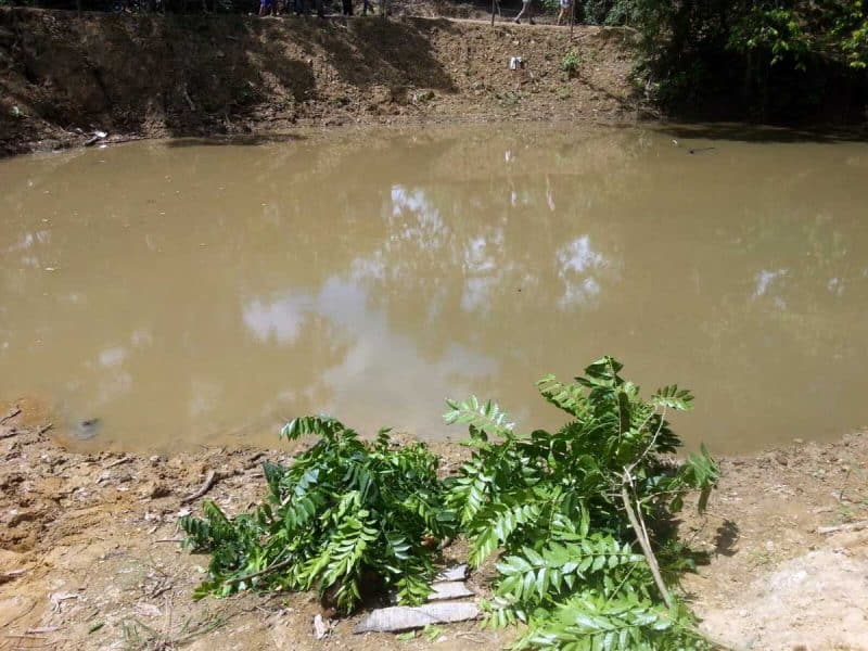 Hermanitas mueren ahogadas en un laguna