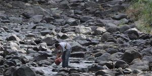 CODIA dice 600 ríos se secan por depredación