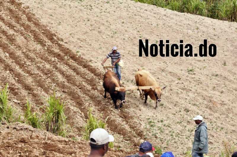 Medio Ambiente hará cumplir resolución este lunes en Valle Nuevo