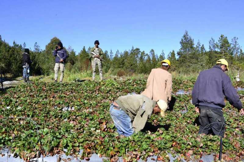 Medio Ambiente sigue retirando tuberías en Valle Nuevo