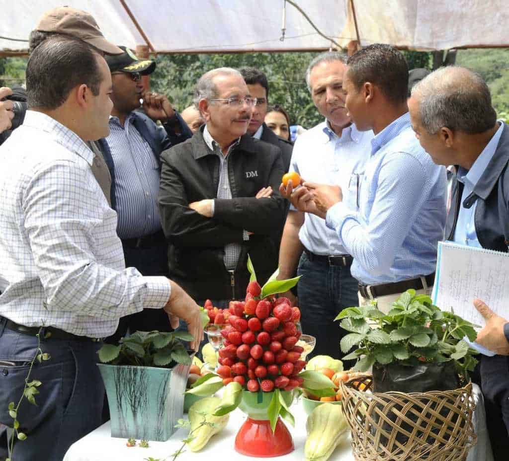 Danilo Medina ofrece apoyo productores de fresas Los Dajaos
