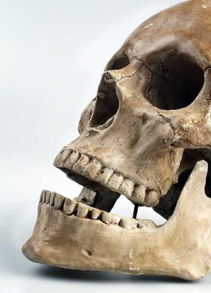 Apresan haitiano al ocuparle cráneo humano que utilizaba para ritos