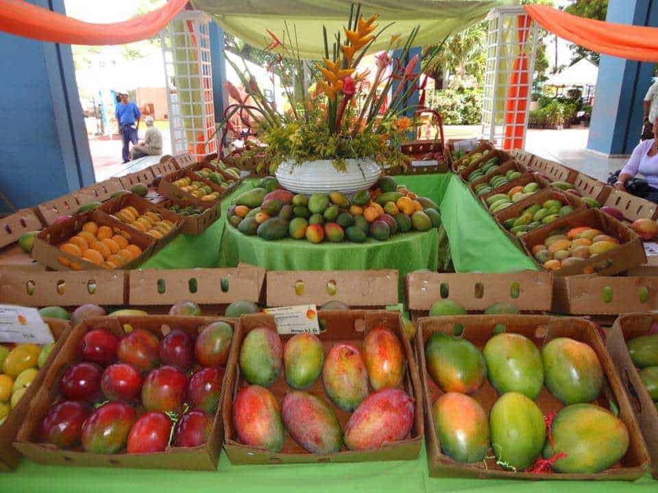 Exportaciones mangos de Baní alcanzan los US$6.9 millones