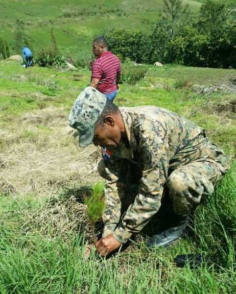 Medio Ambiente inicia reforestación de Valle Nuevo