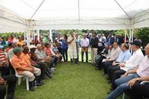 Gobierno financiará  8 mil tareas cacao en Balatá, El Yayal