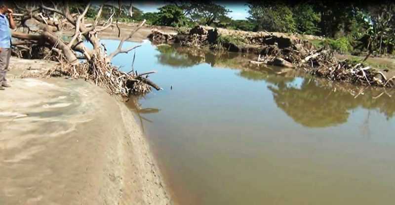 20 mil tareas de arroz afectadas río Masacre