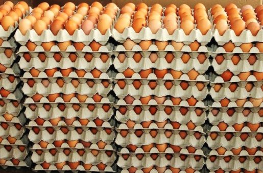 Dominicanos en NY dejan de comprar huevos