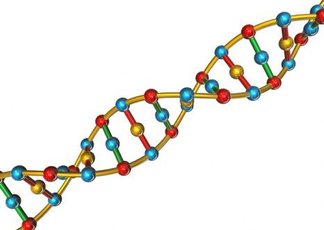 ¿Que es el ADN ?  (Ácido Desoxirribonucleico)