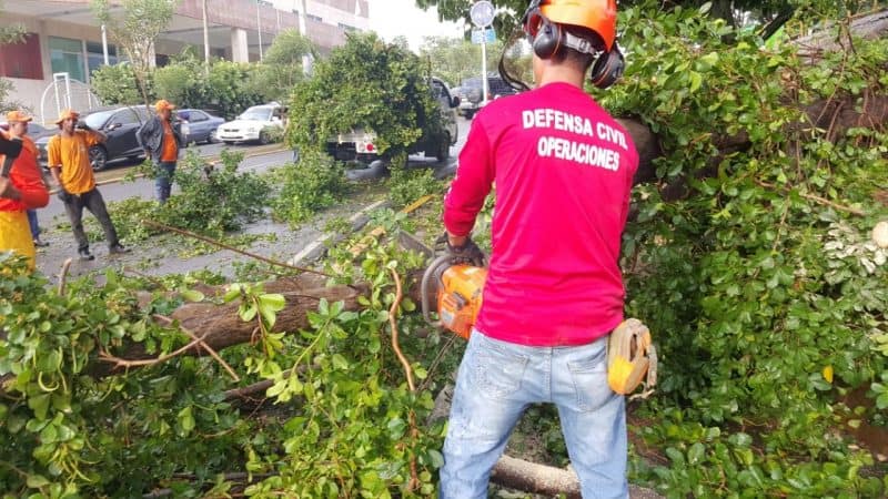 Lluvias y fuertes vientos derribaron árboles en Santiago