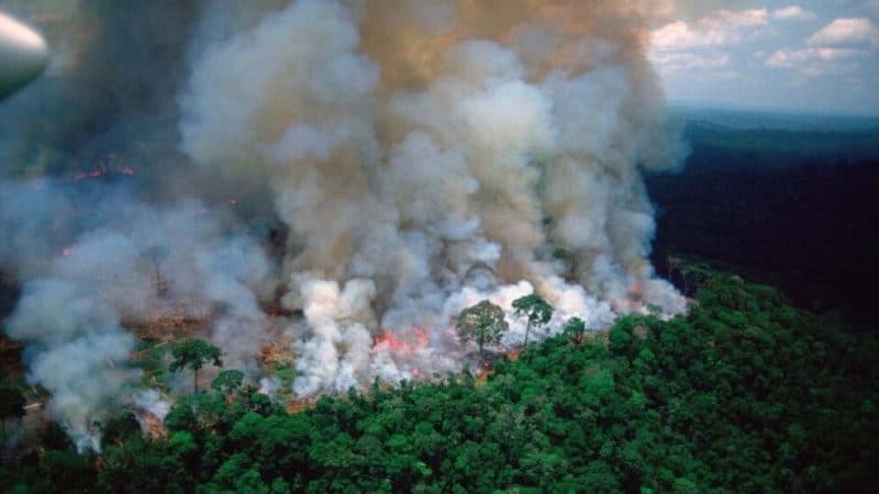 Aseguran son intencionales fuegos Amazonía brasileña