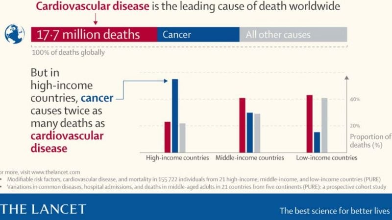 cropped informe cancer