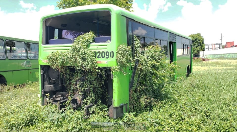 autobuses de la omsa