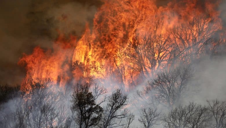 Varias ciudades de Los Ángeles en alerta de evacuación por incendio forestal