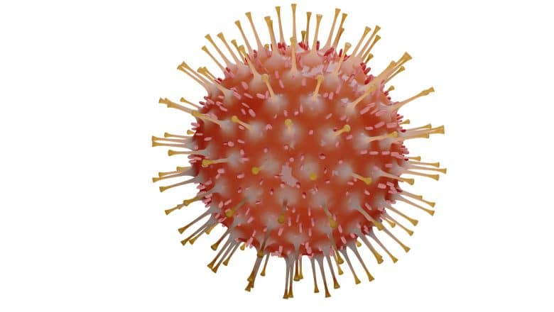 Unos 10 casos de variante coronavirus en Francia