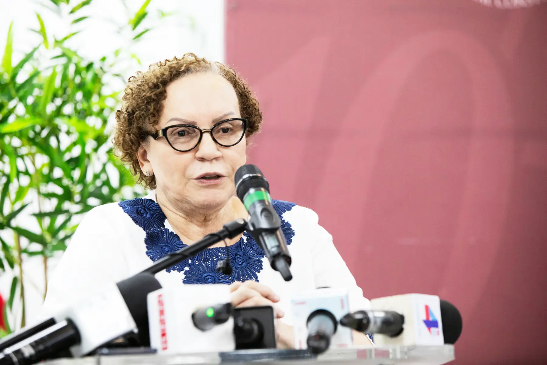 Miriam Germán califica de “un asunto difícil” reforma PN
