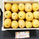 RD busca duplicar producción de mango para exportación