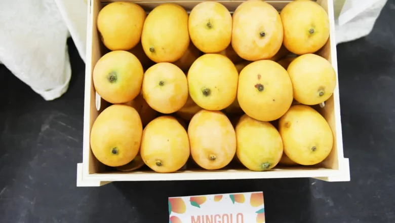 RD busca duplicar producción de mango para exportación