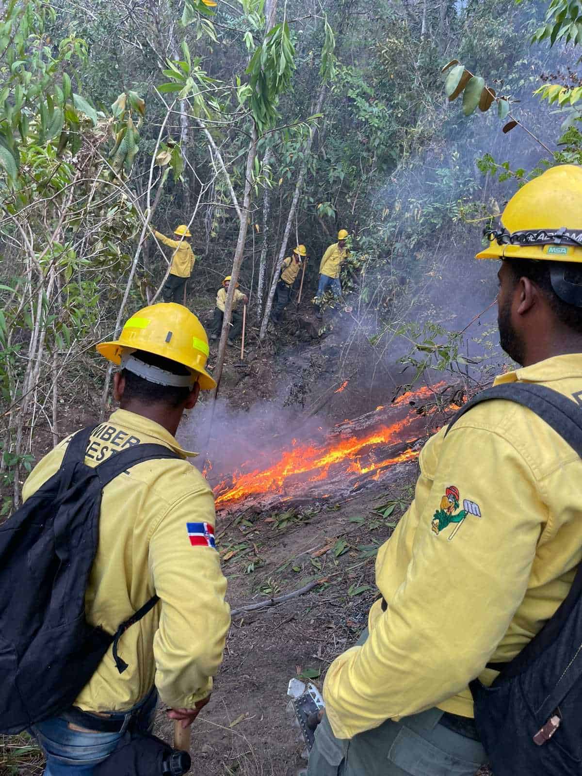Medio Ambiente corfirma de 14 incendios forestales activos 