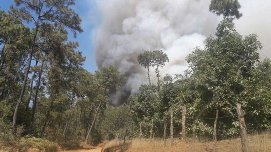 Incendio forestal que afectaba Valle Nuevo está controlado