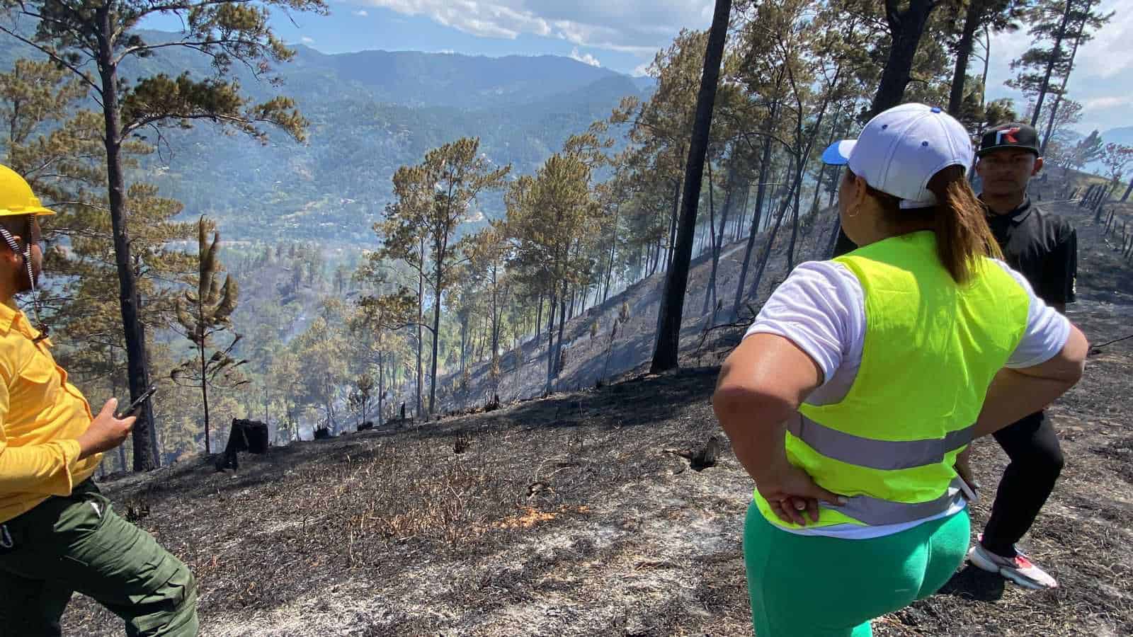 Senador atribuye a manos criminales incendios forestales