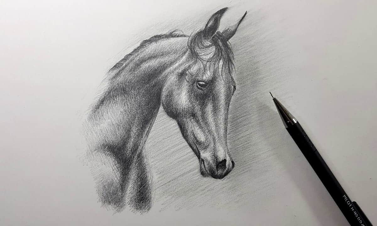 caballo dibujado a lapiz
