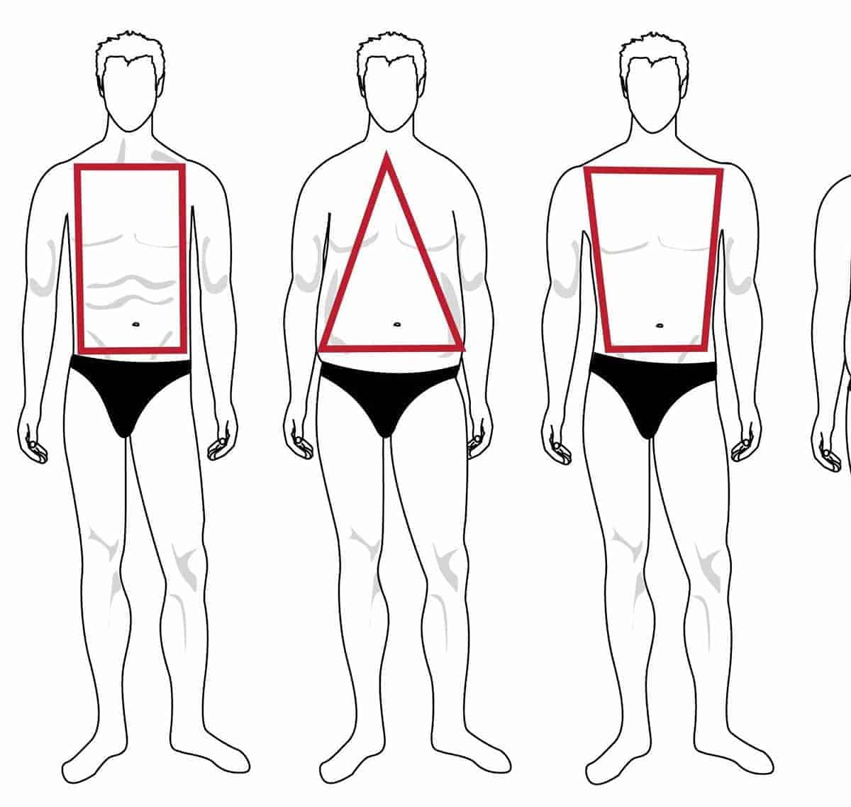 cuerpo masculino medido correctamente