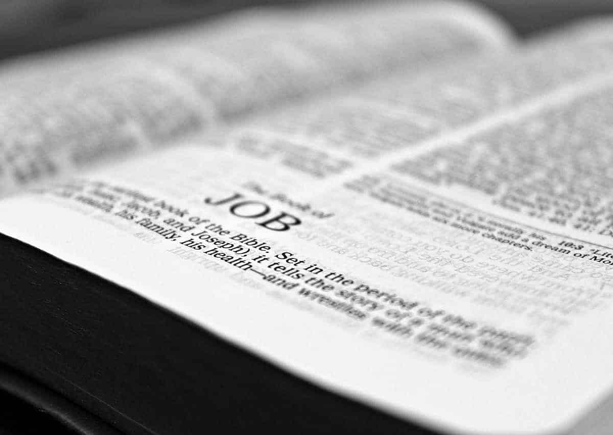 ¿Qué es la Biblia? Una guía esencial para entender la Palabra de Dios