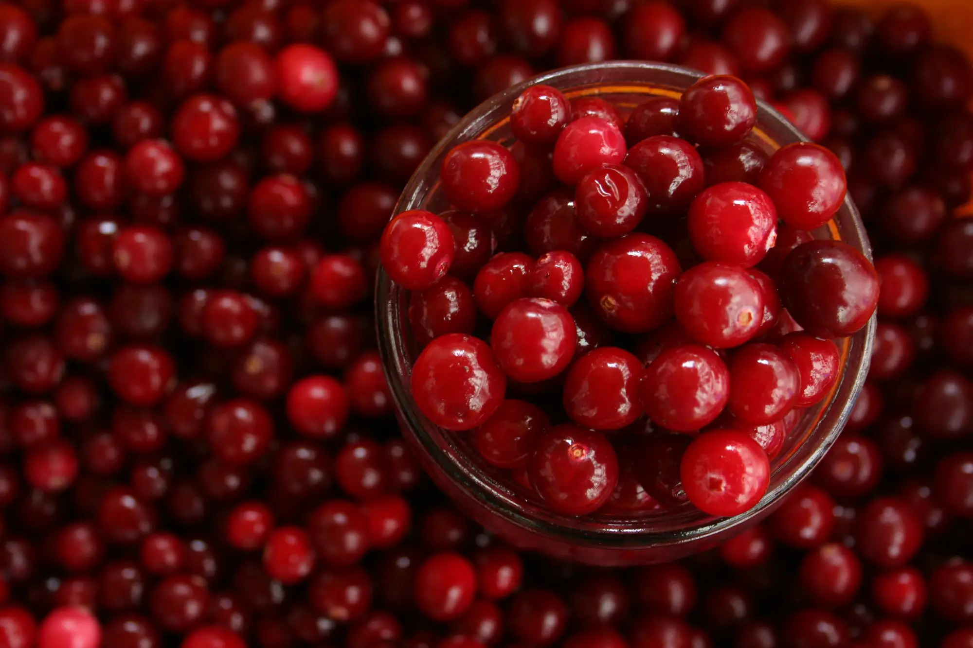 Descubre los beneficios del jugo de cranberry o arándanos rojos