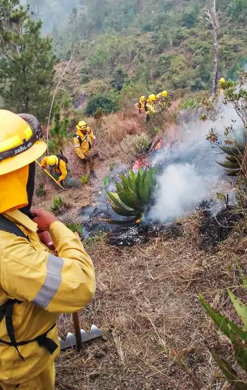 incendios en parques nacionales dominicanos