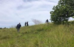 Policía apresa a hombre que mató pareja sentimental en San Cristóbal