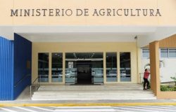 Nueva veda agrícola en República Dominicana: Guerra contra plaga