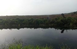 Monumento Natural Lagunas de Cabarete y Goleta