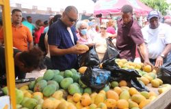 Expo Feria del Mango en Baní