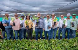 Pedernales busca aumentar y recuperar zona boscosa