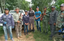 paloma protegida en el Cañón del río Gurabo