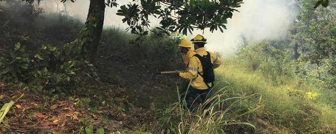 incendio forestal en La Cienaguita, Jarabacoa