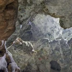 Cuevas del Pomier protegidas: Academia de Ciencias aplaude medida