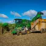 Fin al veto: Central Romana volverá a exportar azúcar a EE.UU.