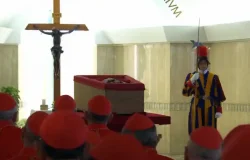 Abinader viaja este viernes al Vaticano para funeral del papa Francisco