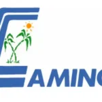 Vivamos como resucitados: Llamado del semanario católico Camino