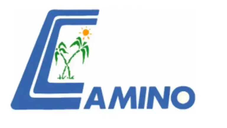 Vivamos como resucitados: Llamado del semanario católico Camino