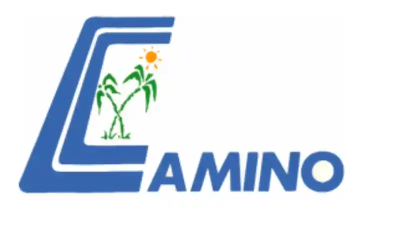 Vivamos como resucitados: Llamado del semanario católico Camino Vivamos como resucitados: Llamado del semanario católico Camino