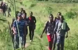 Coyotes haitianos burlan al Estado: un negocio mafioso en la frontera