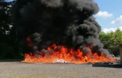 Inacif destruye más de 1,200 kilos de drogas incautadas en RD