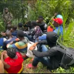 Nacionalistas rechazan plan de Rainieri sobre migración haitiana