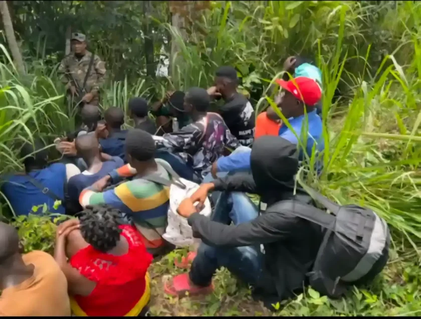 Nacionalistas rechazan plan de Rainieri sobre migración haitiana