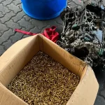 DGA intercepta cargamento de más de 8,000 municiones ocultas en motor procedente de EE. UU.